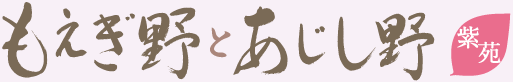 もえぎ野とあじし野紫苑